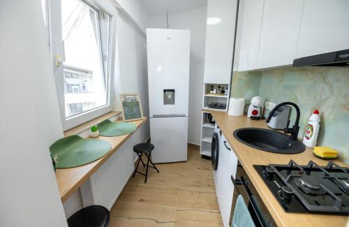Ramnicu Valcea Apartment | Sunset Studio Valcea