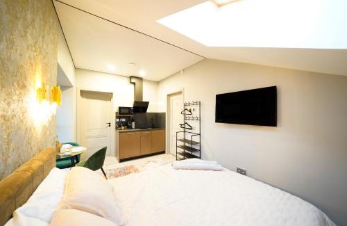 Siauliai City Center Apartment | Svaja ApartHotel