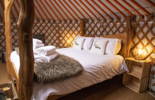 Hawes House | Swallow
