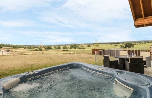 Wedmore Cottage | SWAN LODGE CASTLE FARM, pet friendly, with hot tub in Wedmore