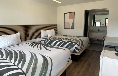 Lake Havasu City Hotel | Sway Hotel