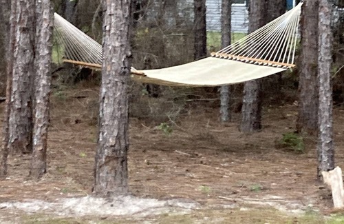 Homosassa House | Sweet retreat in the springs home near 19 on quiet, secluded half acre