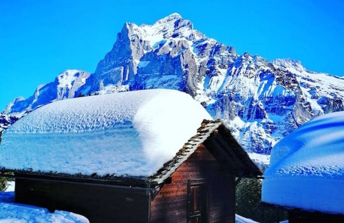 Aeschlen ob Gunten Apartment | SwissHut Stunning Views Alps & Lake - Apart. Lena Up