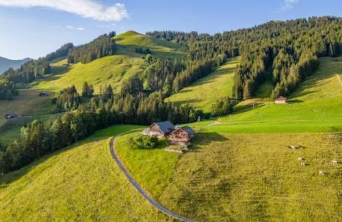 Chateau-d'Oex Ski Chalet | Switzerland Chalet 1