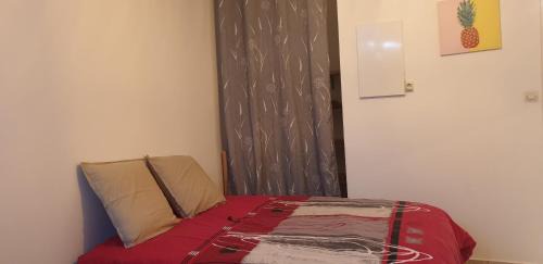 Sainte-Clotilde Apartment | T1 tout confort 2