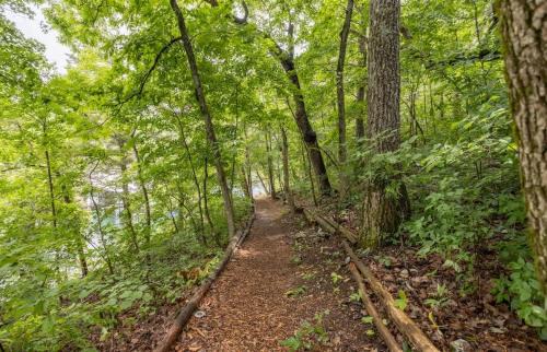 Shell Knob House | Table Rock Lake Cabin - Hawthorn #12 with Lake Access Hot Tub Outdoor Pool