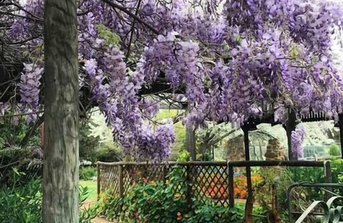 Katrine Other | "Talbot" Rustic style accommodation with Mod Cons