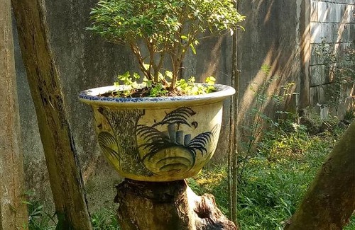 Huong Tra House | Tam Tinh Vien Homestay