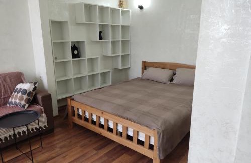Old Boulevard Apartment | Tavdadebuli apartment