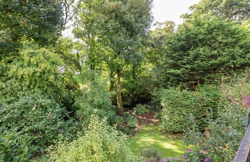 Sticklepath Cottage | Taw River View