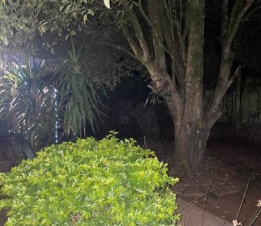 Umtshezi Apartment | Taylor's Nest