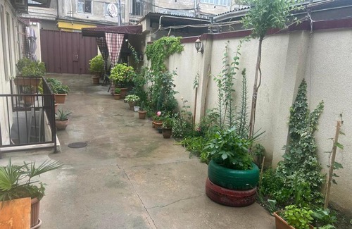 Tbilisi Bed & Breakfast | Tbilisi Central