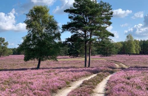 Marleben Apartment | Teichblick
