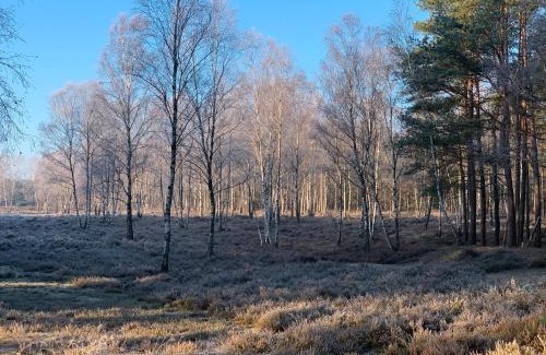 Marleben Apartment | Teichblick
