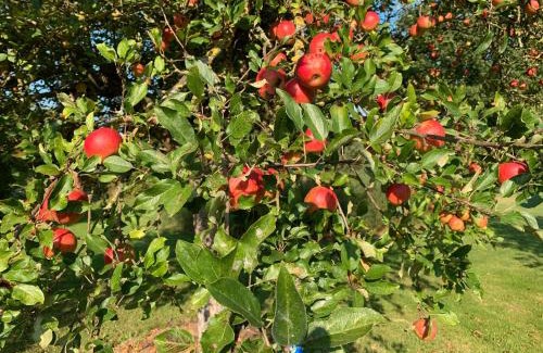 Marleben Apartment | Teichblick