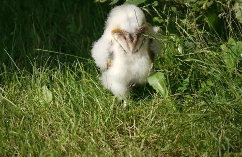 Marleben Apartment | Teichblick