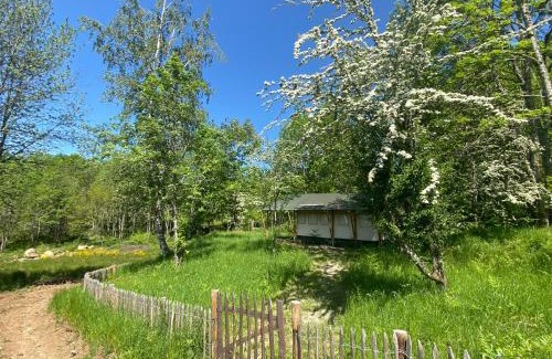 Cros Other | Tente Lodge en pleine nature