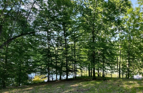 Hurdle Mills RV Rental | Tentrr Signature Site - Shangri-La