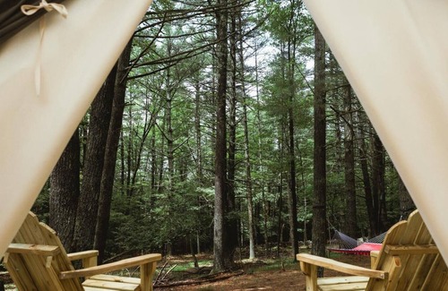 Mount Marion RV Rental | Tentrr Signature Site - Highwoods