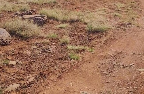 Ash Fork RV Rental | Tentrr Signature Site - Terra Bella Ranch