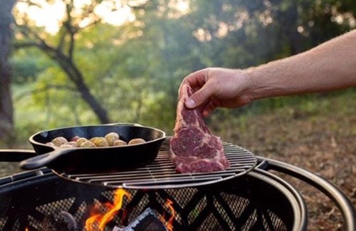 Holly Springs Other | Tentrr State Park Site - Mississippi Wall Doxey State Park - Woodland G - Single Camp