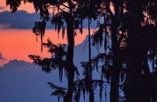 Mandeville RV Rental | Tentrr State Park Site - Louisiana Fontainebleau State Park - Teepee Field A - S