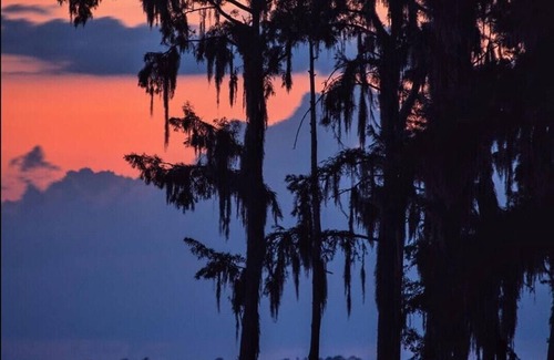 Mandeville RV Rental | Tentrr State Park Site - Louisiana Fontainebleau State Park - Paddle Out I - Sin