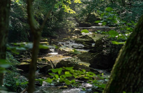 Ansted RV Rental | Tentrr State Park Site - WV Hawk's Nest State Park - Site B - Single Camp