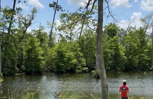 Lake Charles RV Rental | Tentrr State Park Site - Louisiana Sam Houston Jones State Park - Riverview H Si