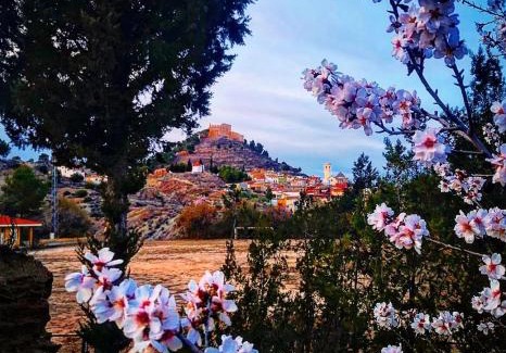 Jalance Apartment | Terra - Valle de Ayora