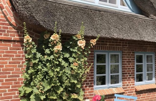 Stenderup Apartment | Thatched cottage in the countryside