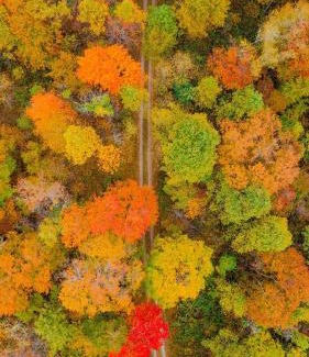 Logan House | The 312 House - A Boho Retreat- Hocking Hills