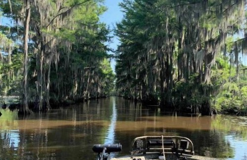 Karnack Cabin | The Best Kept Secret on Caddo Lake