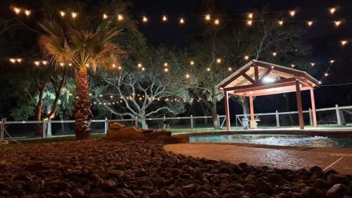 Pearland House | The Blue Oasis - Palm & Pool Retreat