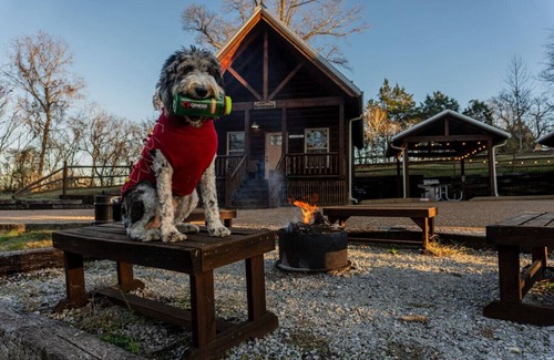 Byrdstown Cabin | The Boathouse Bungalow Dale Hollow Lake 1 Minute Away Free Firewood Pet-Friendly