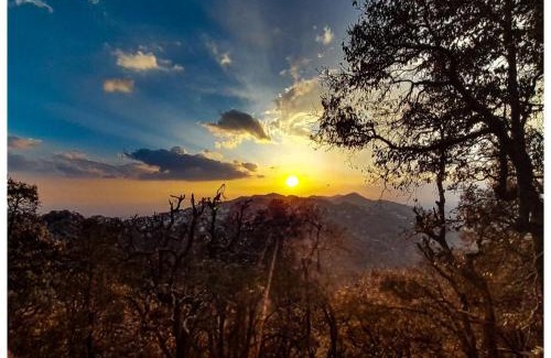 Landour Bed & Breakfast | The Butterfly Room at Landour Retreat