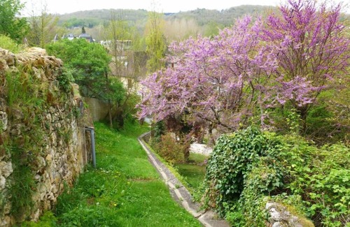 Bergerac House | 'The Claire's house' independant terrace in an old village couze saint front