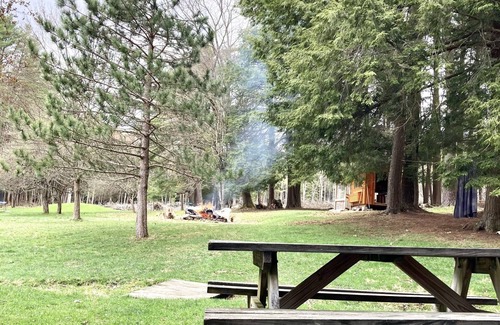 Cooksburg Cabin | The Cook Forest-dog friendly-free firewood-a/c