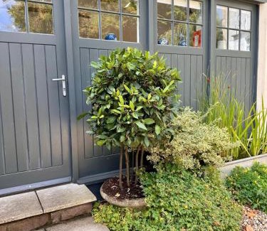 Clifton House | The Cottage