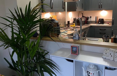 Tamworth Bed & Breakfast | The Cottontail - Standard Private Room With Breakfast - Tamworth