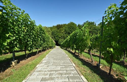 Ivanec Ski Chalet | The Cozy Chalet