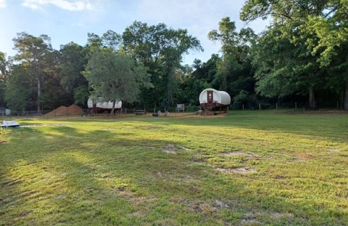 Putnam Hall Apartment | The Family Wagon (Sleeps 4)