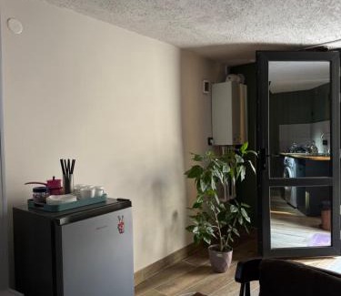 Borjomi Apartment | The Fireplace ROOM