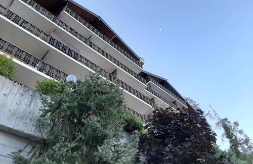 Veysonnaz Apartment | The fox's family home - Veysonnaz