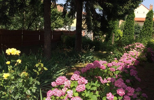 Hajdunanas House | The Gina Gubor House