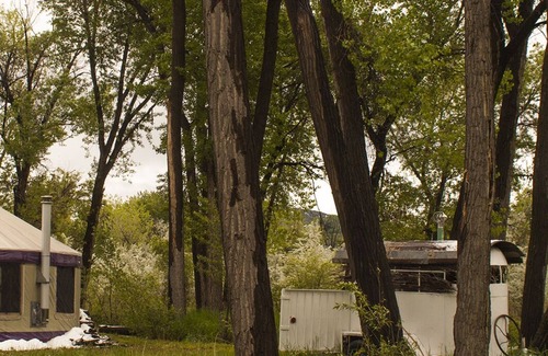 Paonia Cabin | The Grove Yurt is on the North Fork River with outdoor kitchen 2 miles to Paonia