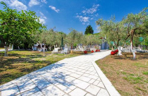 Nea Iraklitsa House | The House of Olive Trees