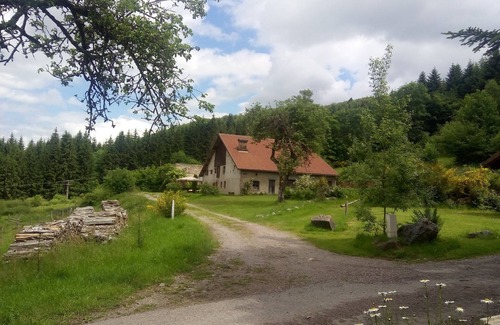 Tendon House | The Hut, in the middle of the woods, not far from the waterfalls