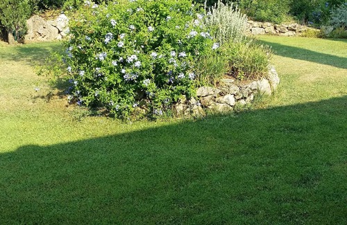 Capalbio Cottage | the light house and its wonderful garden