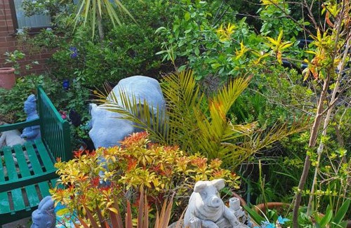 Fleetwood Apartment | The little hideaway